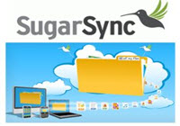 sugarsync1